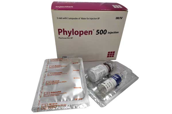 Phylopen 500 Inj 01 L