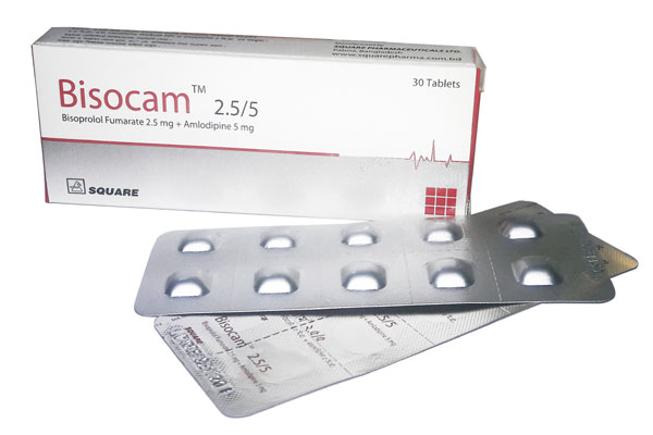 Bisocam